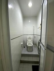 Avon Park (D13), Condominium #498546581